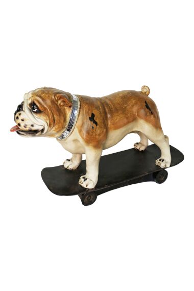 iOne Art Dog on Skateboard