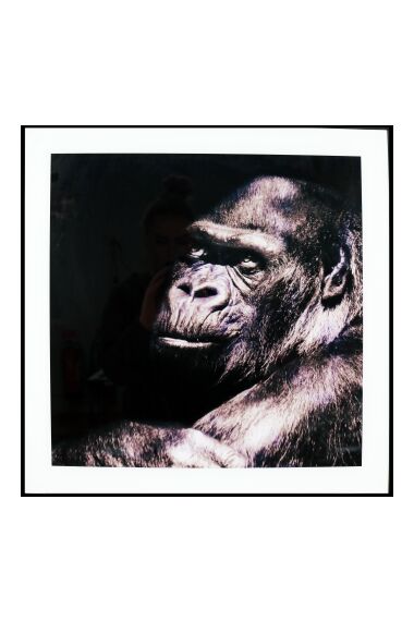 Maleri i Glass Gorilla Thinking