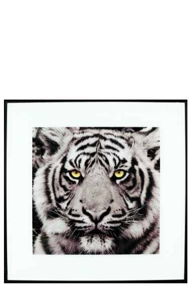Maleri i Glass Tiger