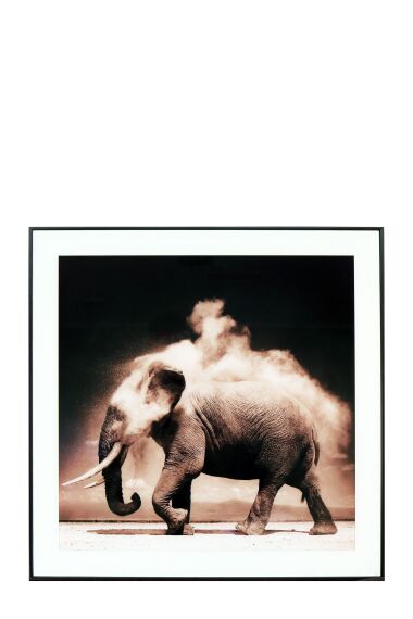 Maleri i Glass Elefant