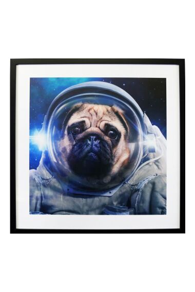 Bilde Plexiglass Astronaut Pug