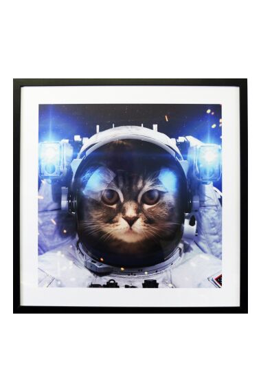Bilde Plexiglass Astronaut Cat
